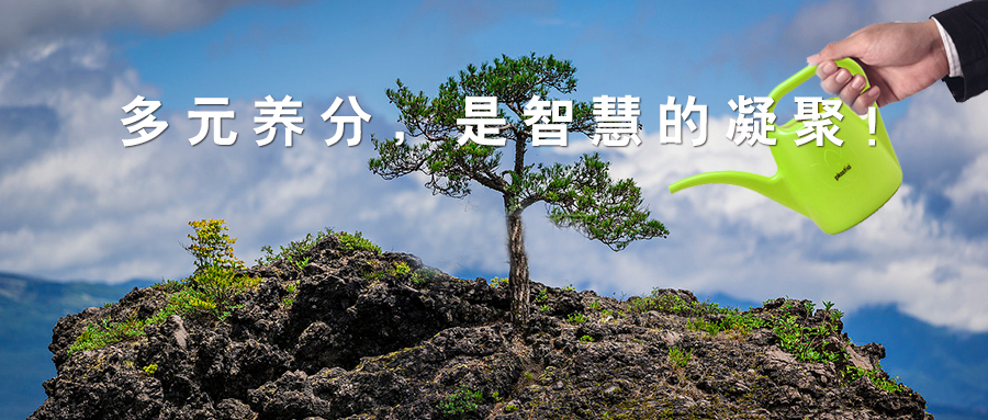 标杆实录 西乡易尚国际成长记之团队打造.jpg
